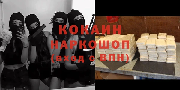 сатива Баксан