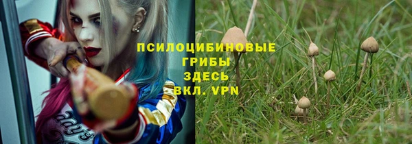 apvp Балахна