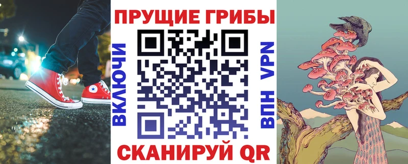 Галлюциногенные грибы Magic Shrooms  Пятигорск 