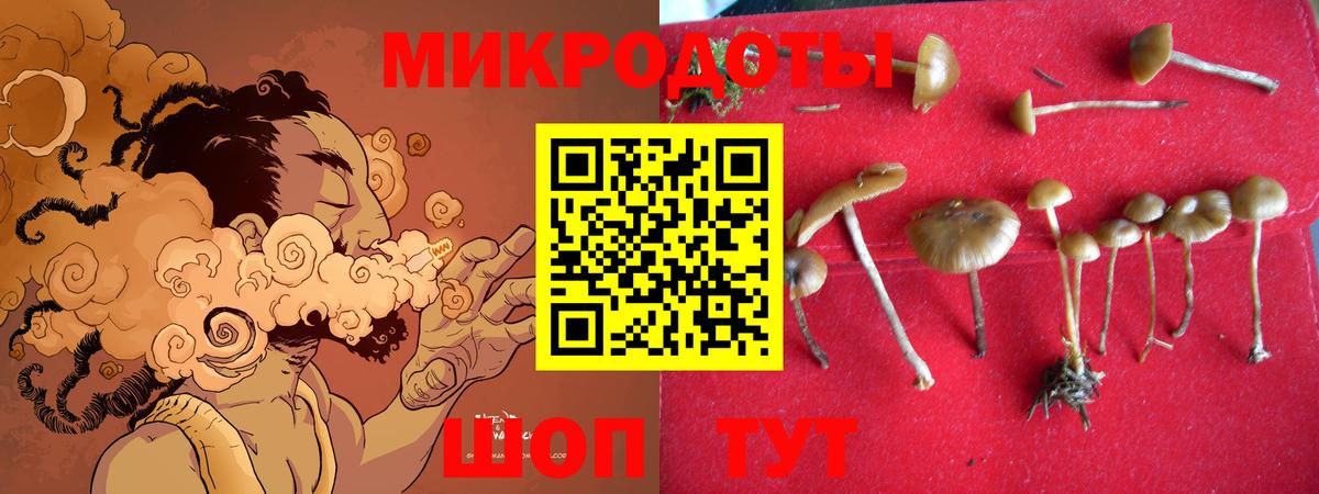 Галлюциногенные грибы GOLDEN TEACHER Пятигорск